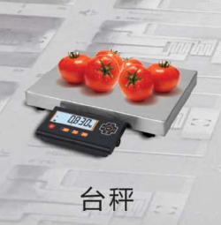 FTB系列台秤
